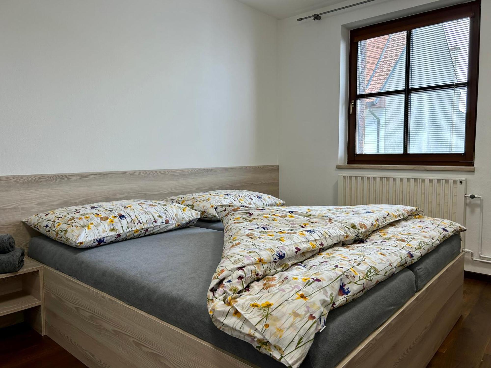 Apartmany Straznice *